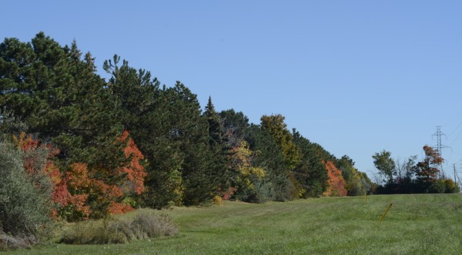 問候 – 一起走過十年