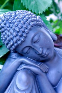 Sunny2015_10_10-002a